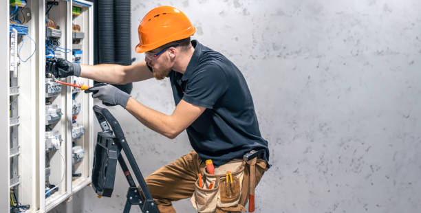 Best Electric Panel Repair  in Crosbyton, TX